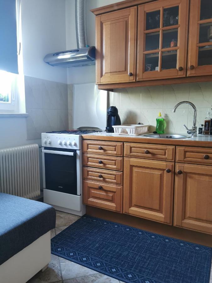 Apartman I Soba Hadela Sveti Martin Na Muri Exterior photo
